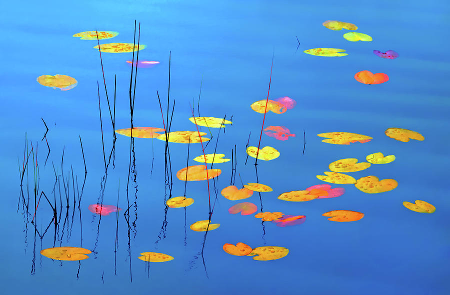 Fall Pond Abstract Photograph by Carolyn Derstine