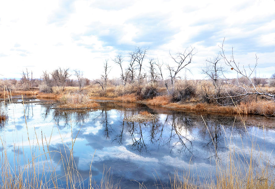 Fall Pond Reflection Photograph by Judi Dressler