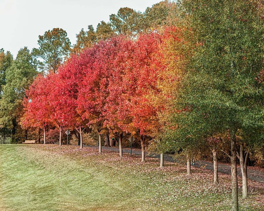 Fall Rainbow  Photograph by Rick Nelson