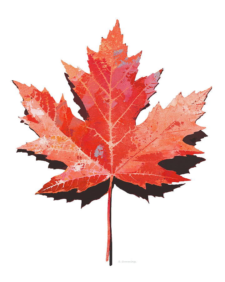 Fall Red Maple Leaf Art Painting by Sharon Cummings