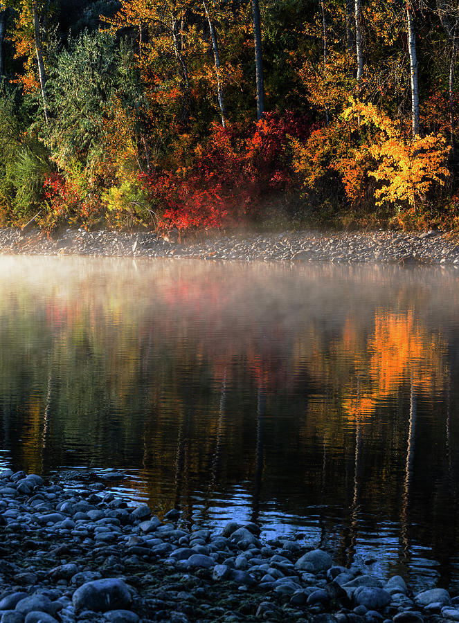 Fall Reflection Along Boise River Idaho Usa Photograph By Vishwanath