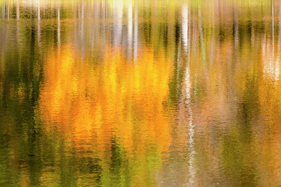 Fall Reflection Photograph by Patty Colabuono