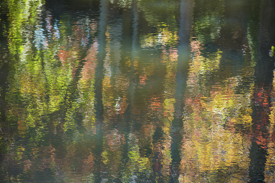 Fall Reflections 2 Photograph by Mary Ann Artz