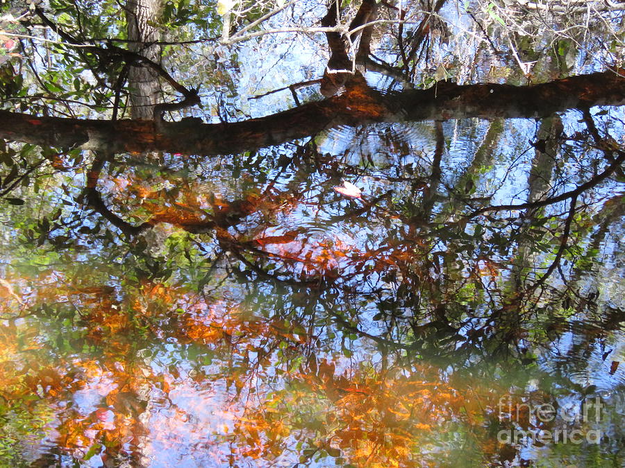 Fall Reflections 3 Photograph by World Reflections By Sharon