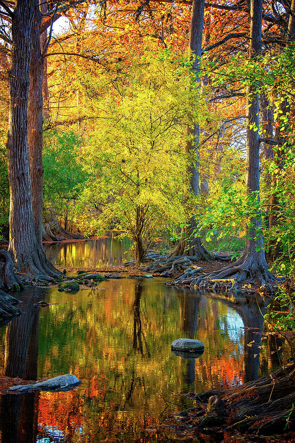 Fall Reflections Along the Creek at Cibolo Nature Center 2 Photograph by Lynn Bauer