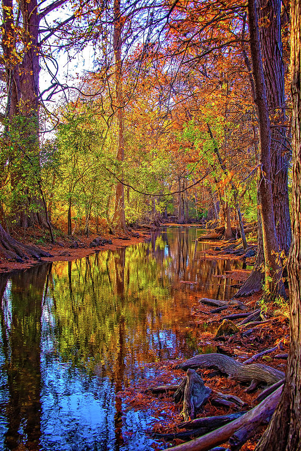 Fall Reflections Along the Creek at Cibolo Nature Center Photograph by Lynn Bauer