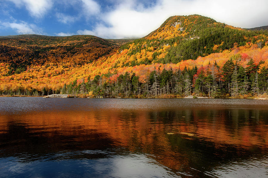 Fall Reflections Beaver Pond Photograph by Dan Sproul