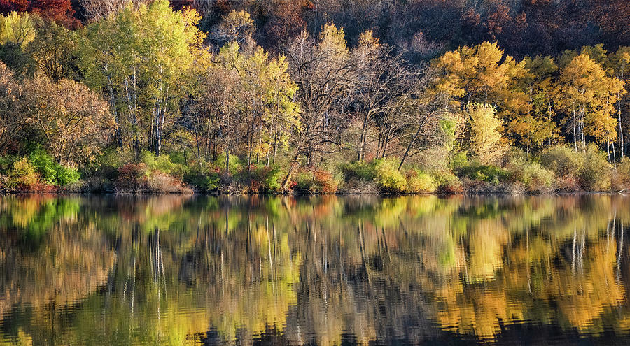 Fall Reflections Photograph by Brad Bellisle