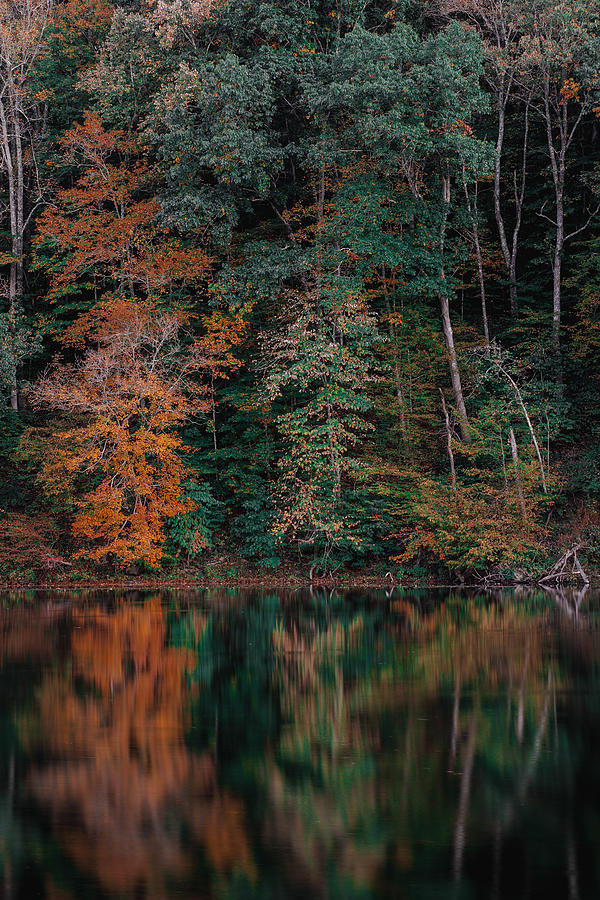 Fall Reflections Photograph by Evan Foster