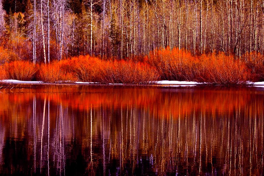 Fall Reflections Photograph by Geoff McGilvray