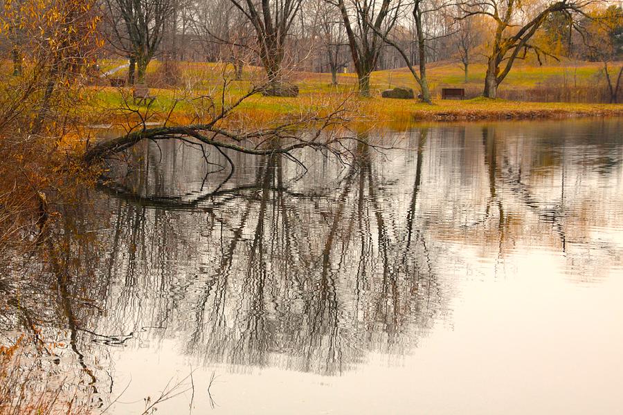 Fall Reflections Photograph by Gerald Salamone