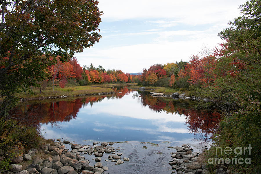 Fall Reflections Photograph by Grace Grogan