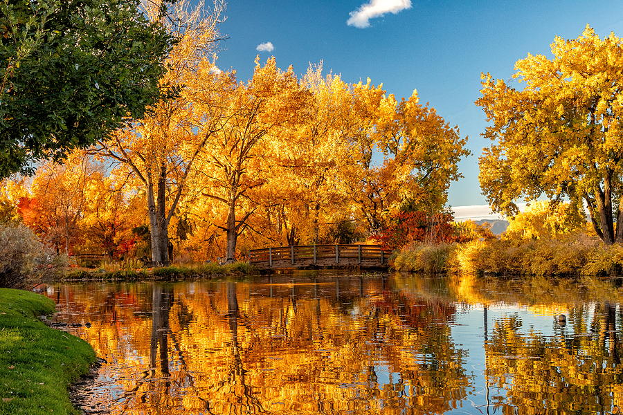 Fall Reflections in Colorado Photograph by Tony Hake
