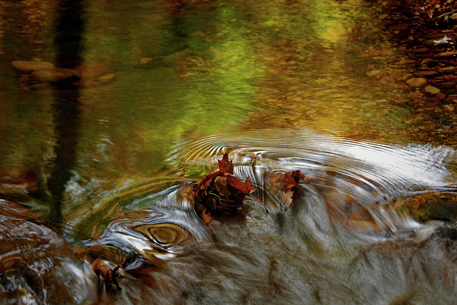 Fall reflections in Long Branch Run Photograph by Bill Jonscher