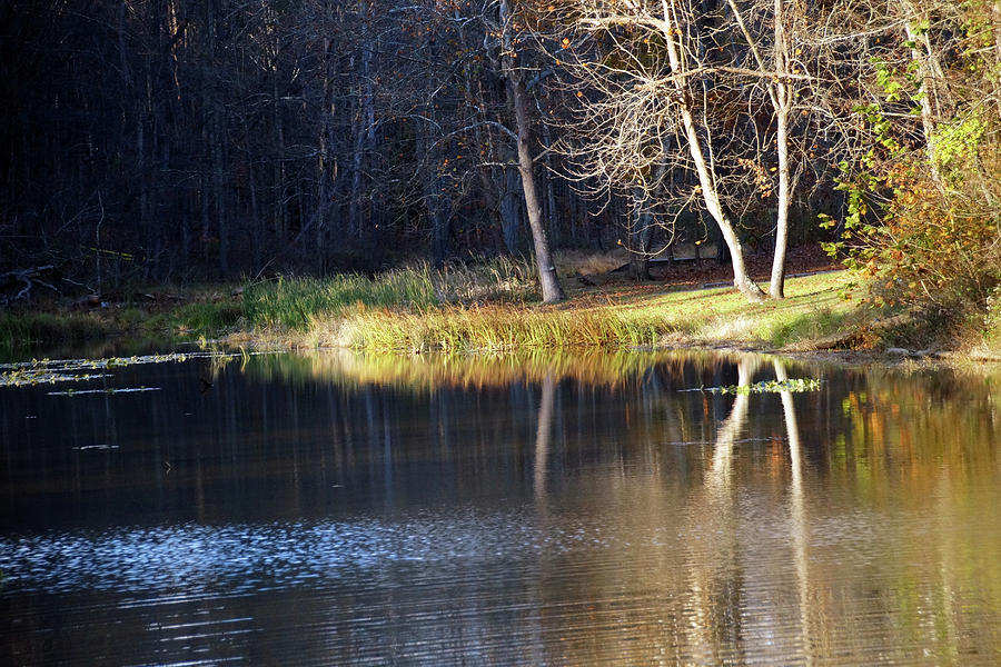 Fall Reflections in the Pond Photograph by Mike Murdock