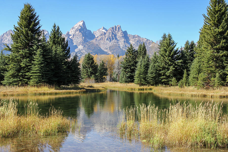 Autumn Reflections in the Tetons Photograph by Robert Carter