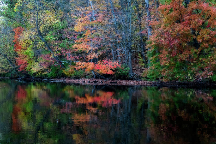 Fall reflections in the water Photograph by Dan Friend