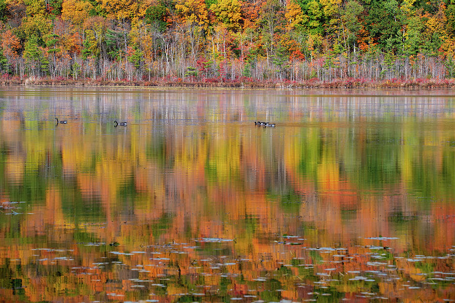 Fall Reflections Photograph by Jeffrey PERKINS