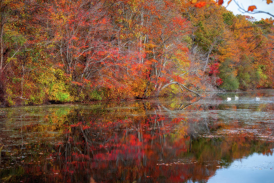 Fall Reflections Photograph by John Randazzo