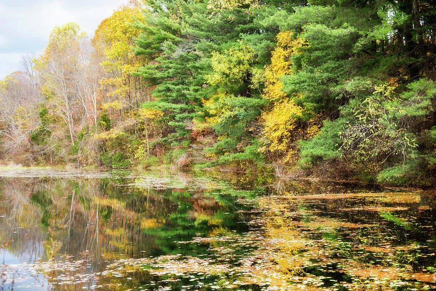 Fall Reflections Photograph by Kathy Jennings