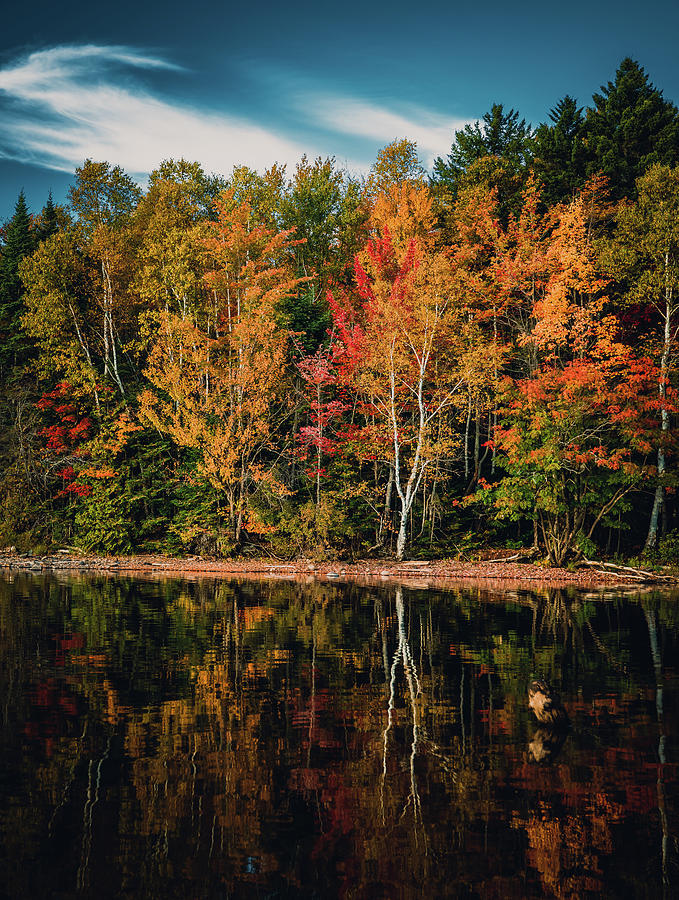 Fall Reflections Lily Bay State Park Maine Photograph by Dan Sproul