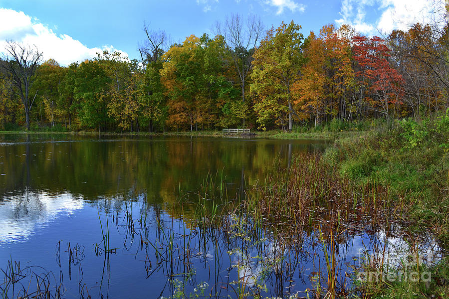 Fall Reflections on Duck Lake  Photograph by Amy Lucid