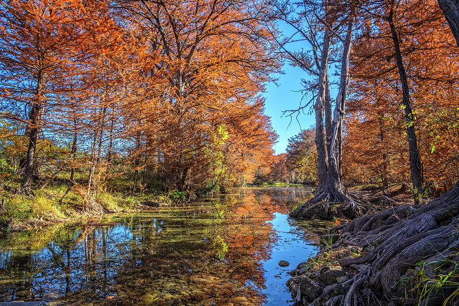 Fall Reflections on the Medina River Photograph by Lynn Bauer