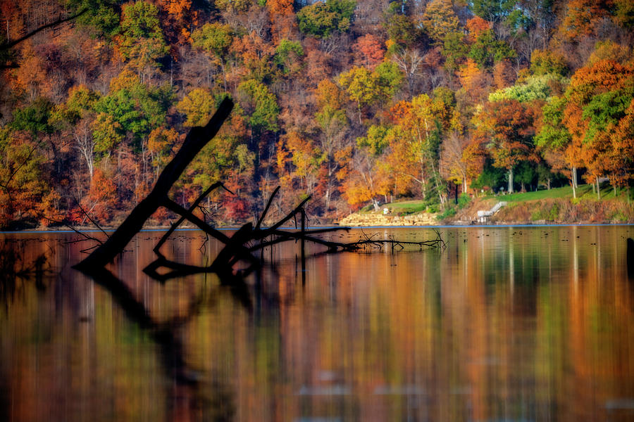 Fall reflections on the South Branch River Photograph by Dan Friend