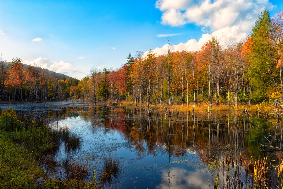 Fall Reflections Photograph by Russell Pugh
