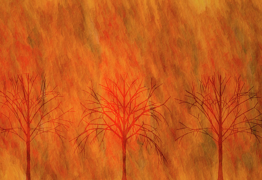 Fall Rising Bare Trees Digital Art by Leslie Montgomery
