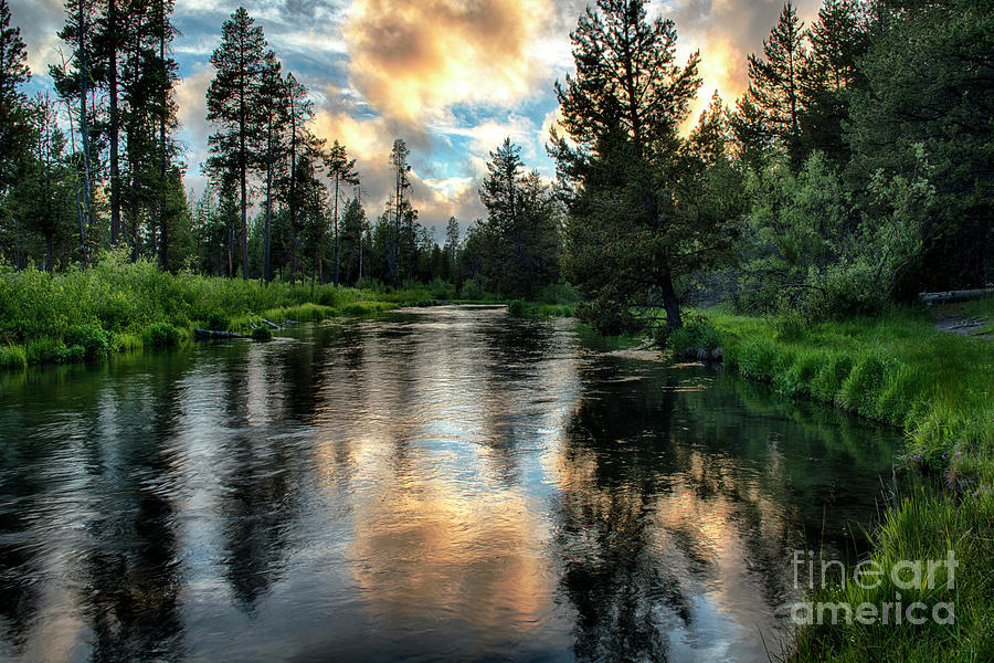 Mountain Photograph - Fall River at dusk, tributary of the Deschutes River, Deschutes National Forest, Oregon by Yefim Bam