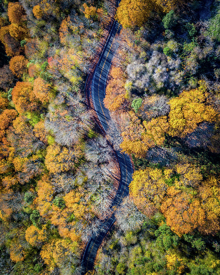 Fall Road Photograph by Clinton Ward