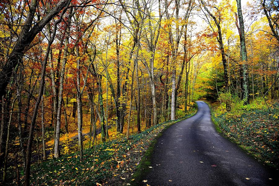 Fall Road - Michigan Photograph by Kirk Stanley