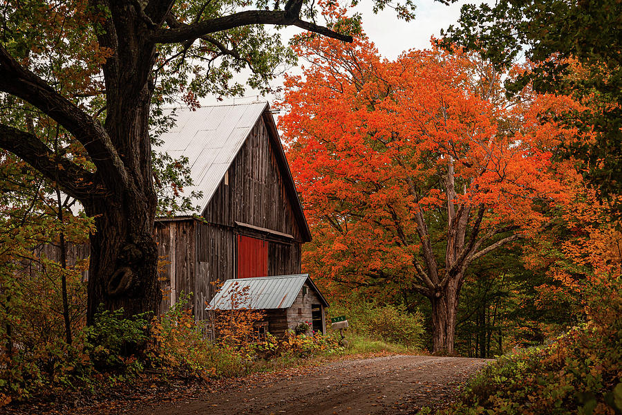 Fall Roadside Barn - Peacham Photograph by Tim Kirchoff