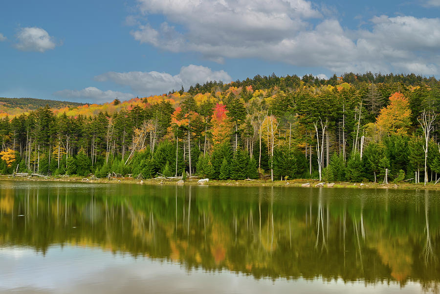 Fall scene Shavers Lake in the Fall on a beautiful day. Photograph by Dan Friend