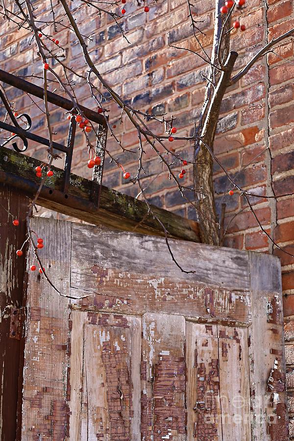 Fall Photograph - Fall Scene with Bricks and Door by Martha Sherman