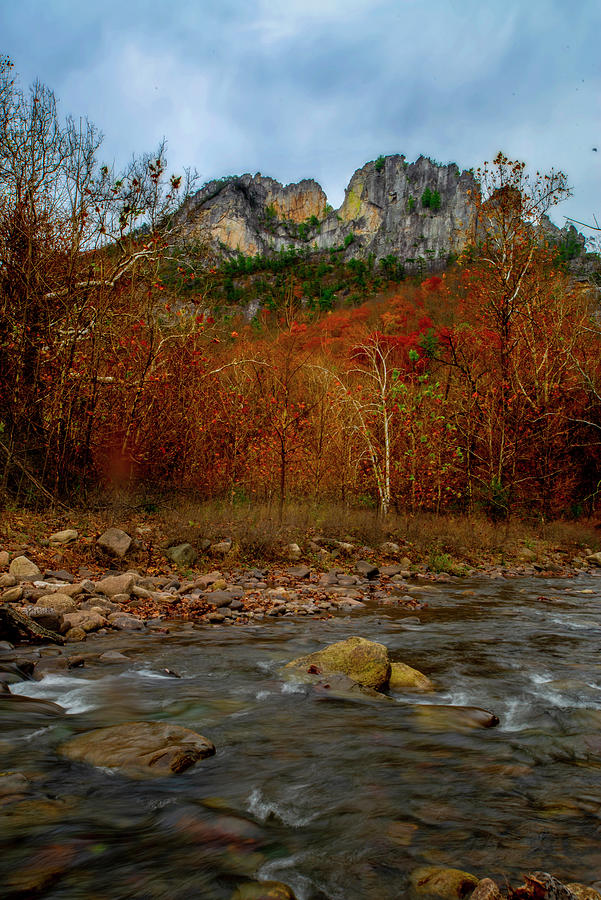 Fall scene with stream and Seneca Rocks Photograph by Dan Friend