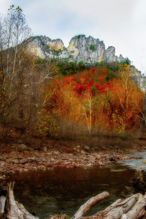 Fall scene with stream and Seneca Rocks in the background Photograph by Dan Friend