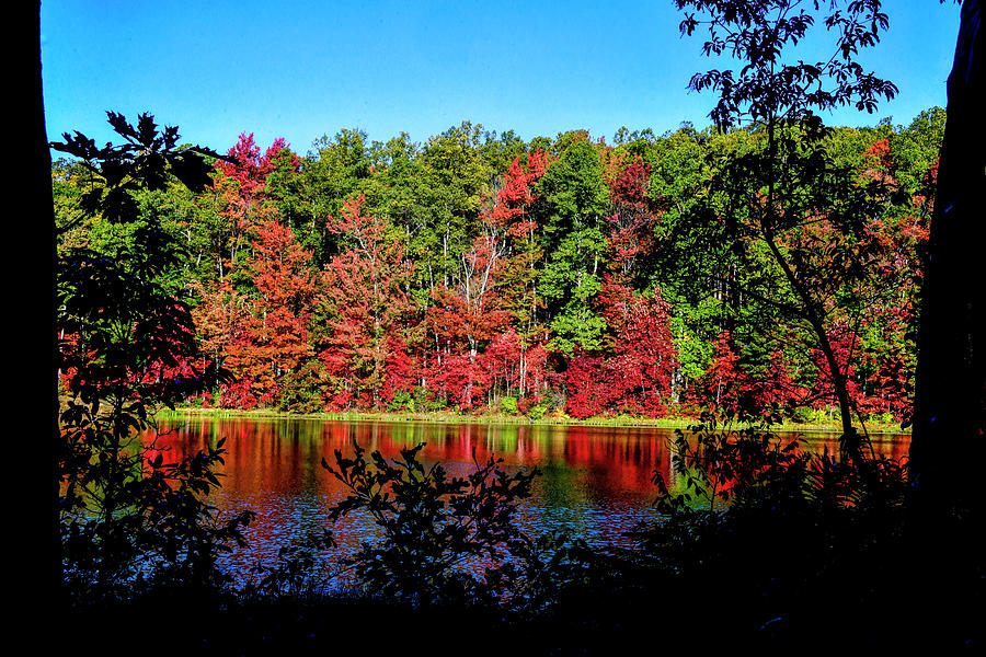 Fall scenes on lake reflections Photograph by Dan Friend