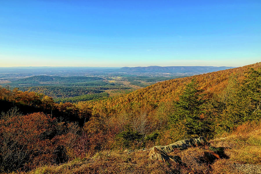 Fall Scenic View on Skyline Drive Photograph by Judy Vincent
