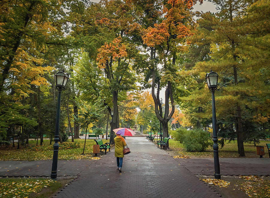 Fall Season In The Park Photograph