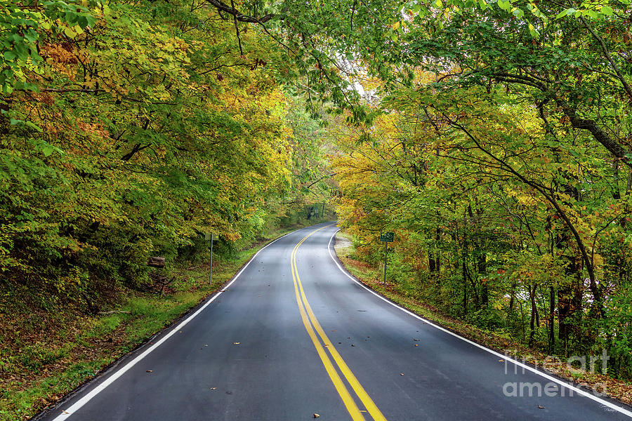 Fall Season Tree Lined Road Photograph by Jennifer White