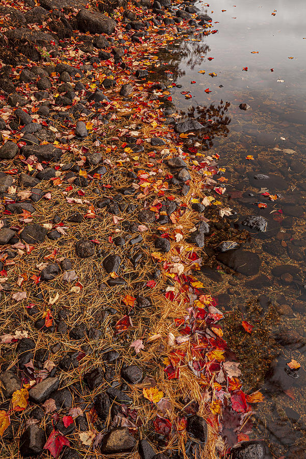 Fall Shoreline At Maple Lake Photograph by Irwin Barrett