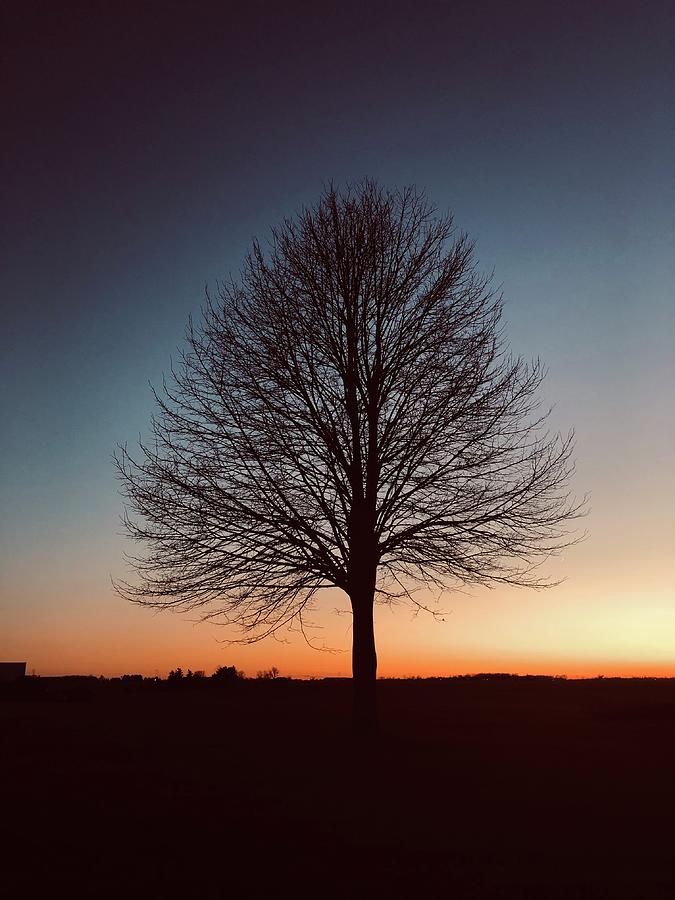 Fall Silhouette 1 Photograph by Rita Oakleaf - Fine Art America