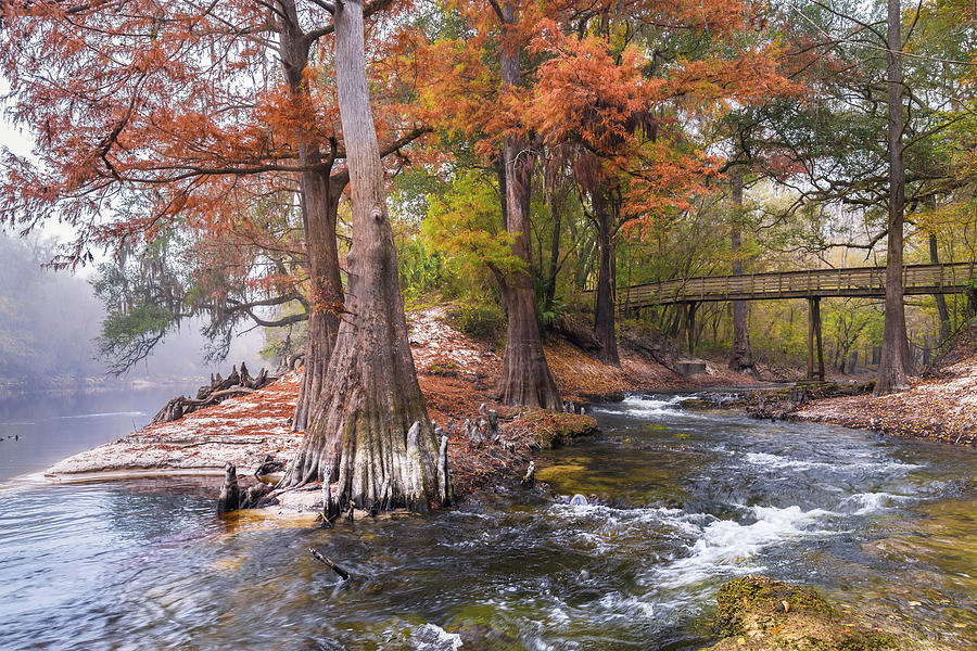 Fall Spring Creek Photograph by Russ Burch