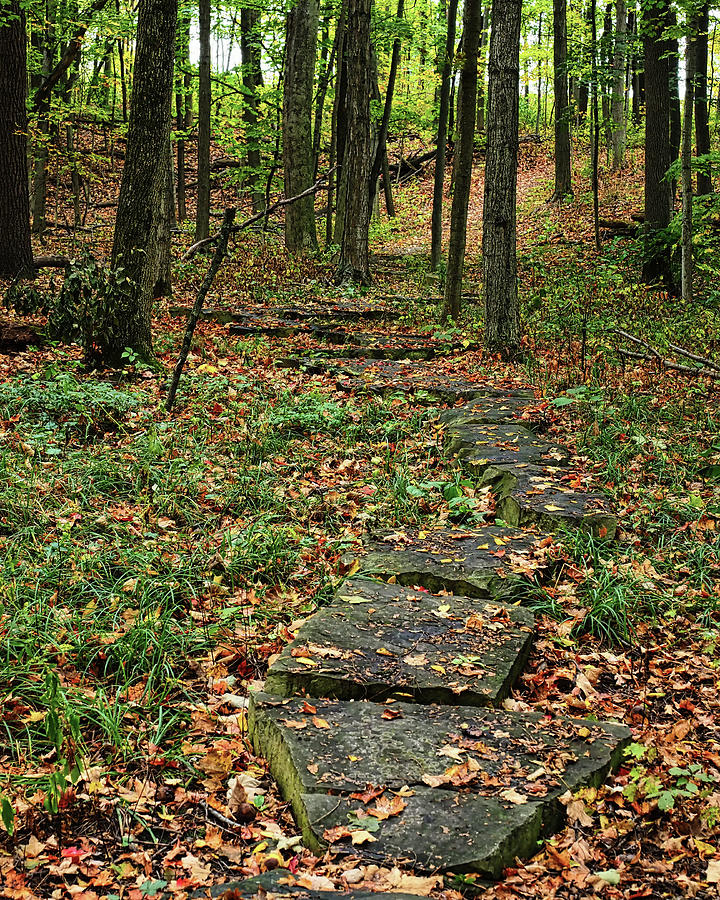Fall Stone Pathway Photograph by Scott Olsen