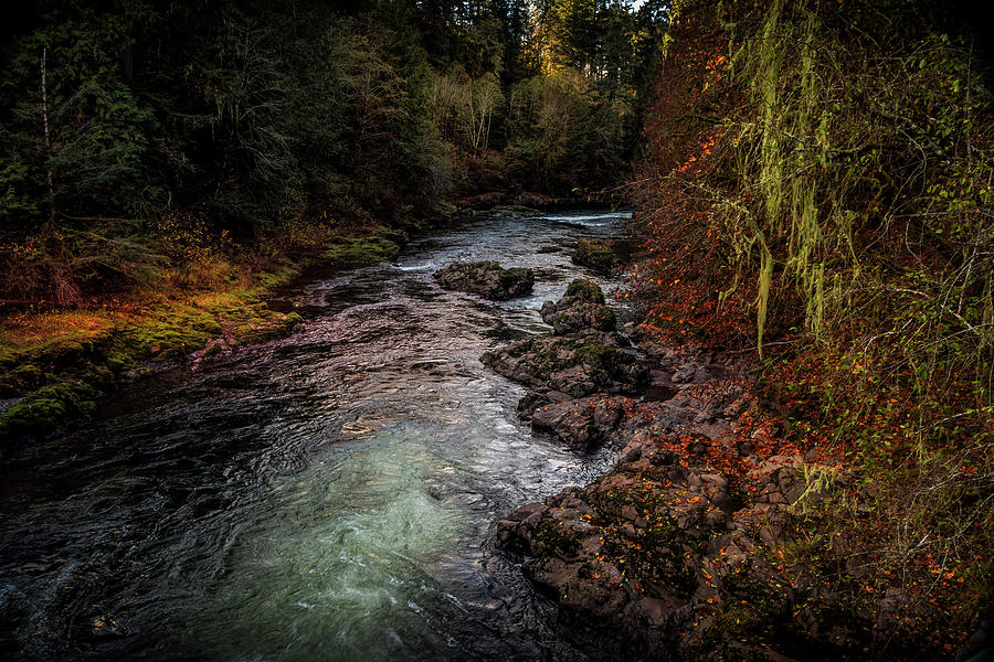 Fall Stream Photograph by Bill Posner