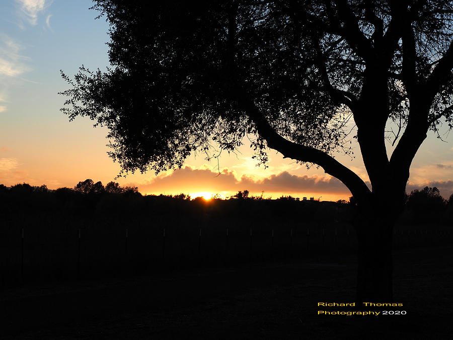 Fall Sundown Silhouette  Photograph by Richard Thomas