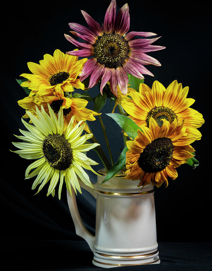 Flower Photograph - Fall Sunflowers by Phil And Karen Rispin