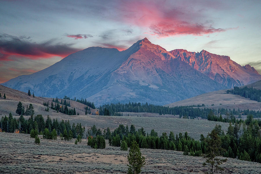 Fall Sunrise, Yellowstones Electric Peak Photograph by Marcy Wielfaert